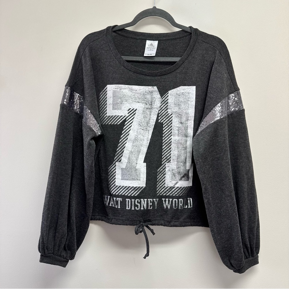 Walt Disney World 71 Sequin Stripe Charcoal Pullover Size XL